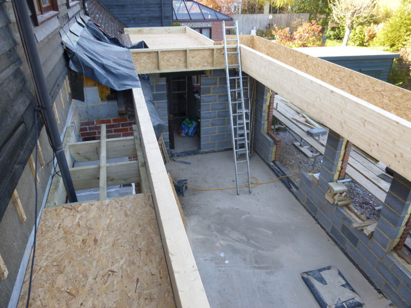 Orangery kitchen extension - 19